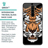 Angry Tiger Glass Case For Xiaomi Redmi Note 8 Pro