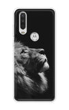 Lion Looking to Sky Motorola One Action Back Cover