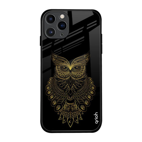Golden Owl iPhone 11 Pro Glass Back Cover Online