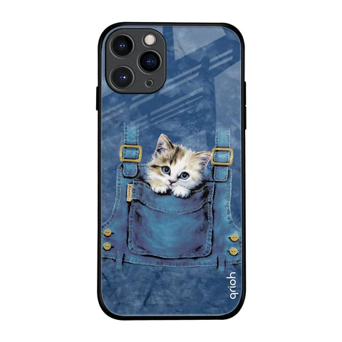 Kitty In Pocket iPhone 11 Pro Glass Back Cover Online