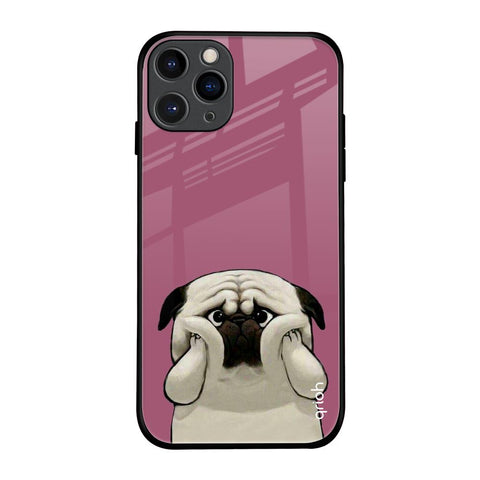 Funny Pug Face iPhone 11 Pro Glass Back Cover Online