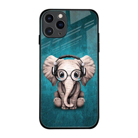 Adorable Baby Elephant iPhone 11 Pro Glass Back Cover Online