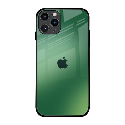 Green Grunge Texture iPhone 11 Pro Glass Back Cover Online