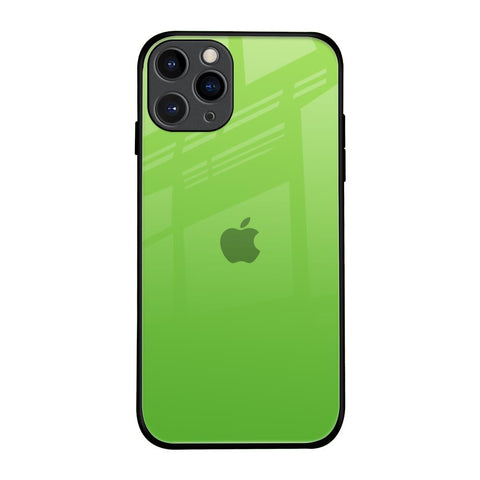 Paradise Green iPhone 11 Pro Glass Back Cover Online