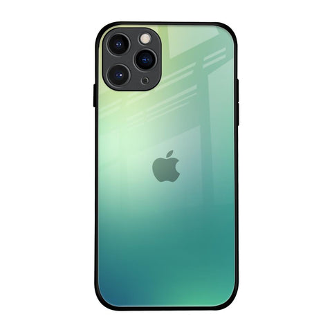 Dusty Green iPhone 11 Pro Glass Back Cover Online