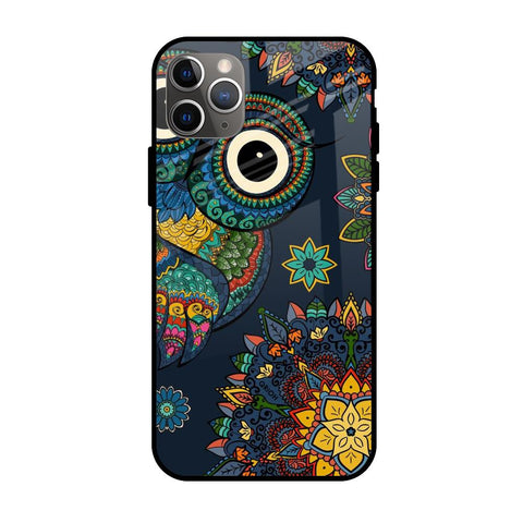 Owl Art Apple iPhone 11 Pro Glass Cases & Covers Online