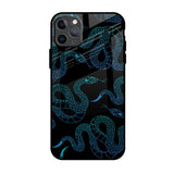 Serpentine iPhone 11 Pro Max Glass Back Cover Online