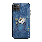 Kitty In Pocket iPhone 11 Pro Max Glass Back Cover Online