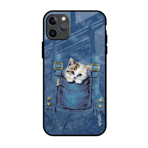 Kitty In Pocket iPhone 11 Pro Max Glass Back Cover Online