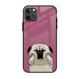 Funny Pug Face iPhone 11 Pro Max Glass Back Cover Online