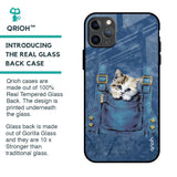 Kitty In Pocket Glass Case For iPhone 11 Pro Max