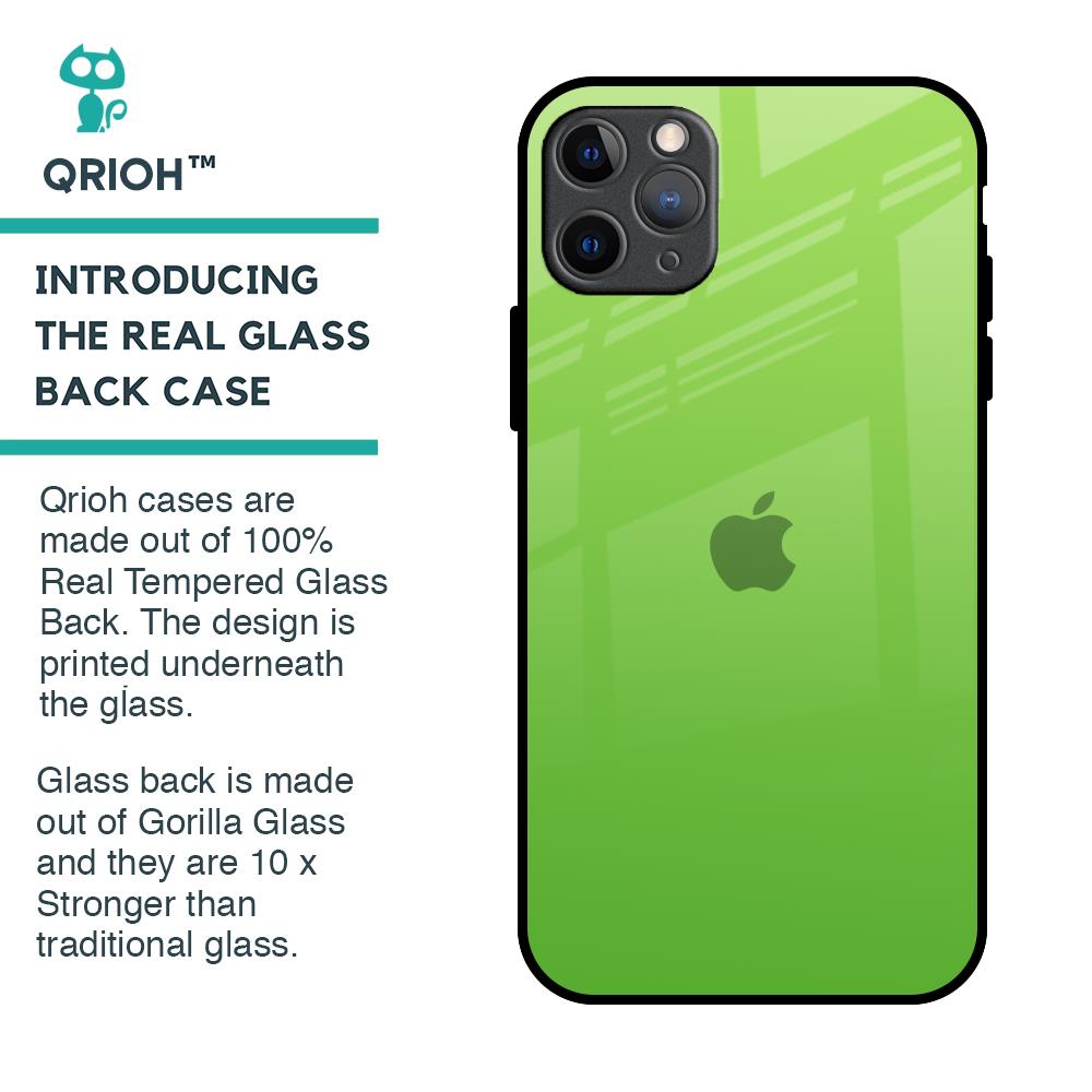 Paradise Green Glass Case For iPhone 11 Pro Max