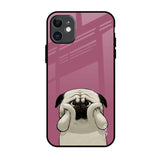 Funny Pug Face iPhone 11 Glass Back Cover Online