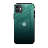 Palm Green iPhone 11 Glass Back Cover Online