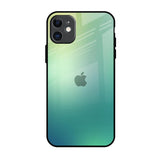 Dusty Green iPhone 11 Glass Back Cover Online