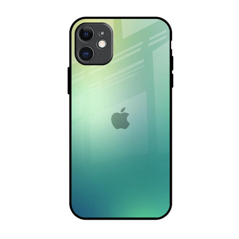 Dusty Green iPhone 11 Glass Back Cover Online
