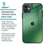 Green Grunge Texture Glass Case for iPhone 11