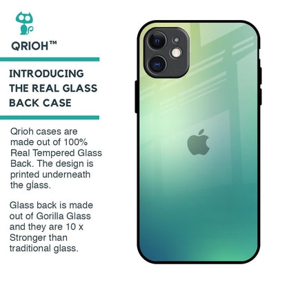 Dusty Green Glass Case for iPhone 11