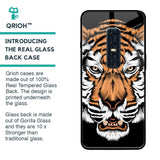 Angry Tiger Glass Case For Vivo V17 Pro