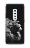 Lion Looking to Sky Vivo V17 Pro Back Cover