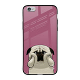 Funny Pug Face iPhone 6S Glass Back Cover Online