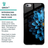 Half Blue Flower Glass Case for iPhone 6S