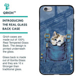 Kitty In Pocket Glass Case For iPhone 6S