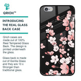 Black Cherry Blossom Glass Case for iPhone 6S