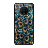 Peacock Feathers OnePlus 7T Glass Cases & Covers Online