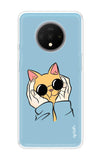 Attitude Cat OnePlus 7T Back Cover