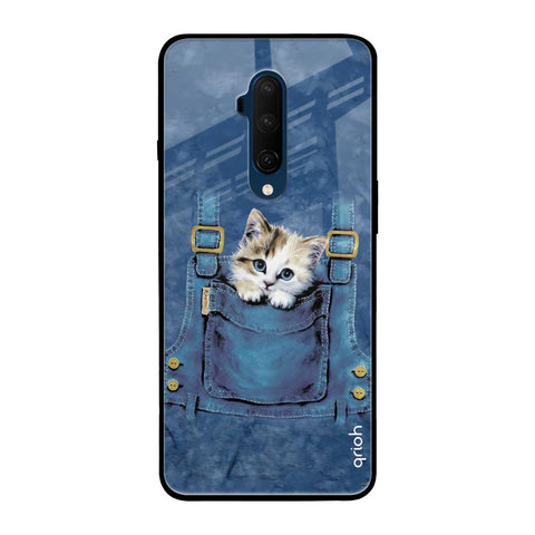 Kitty In Pocket OnePlus 7T Pro Glass Back Cover Online