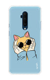 Attitude Cat OnePlus 7T Pro Back Cover