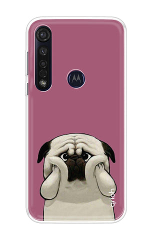 Chubby Dog Motorola Moto G8 Plus Back Cover