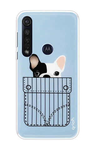 Cute Dog Motorola Moto G8 Plus Back Cover