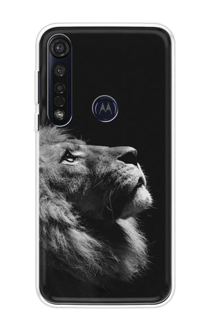 Lion Looking to Sky Motorola Moto G8 Plus Back Cover