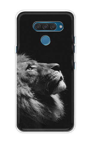 Lion Looking to Sky LG Q60 Back Cover