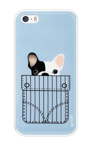 Cute Dog iPhone SE Back Cover
