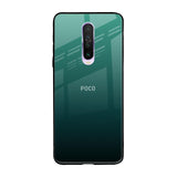 Palm Green Poco X2 Glass Back Cover Online