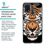 Angry Tiger Glass Case For Samsung Galaxy M31