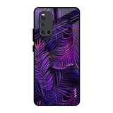 Plush Nature Vivo V19 Glass Back Cover Online