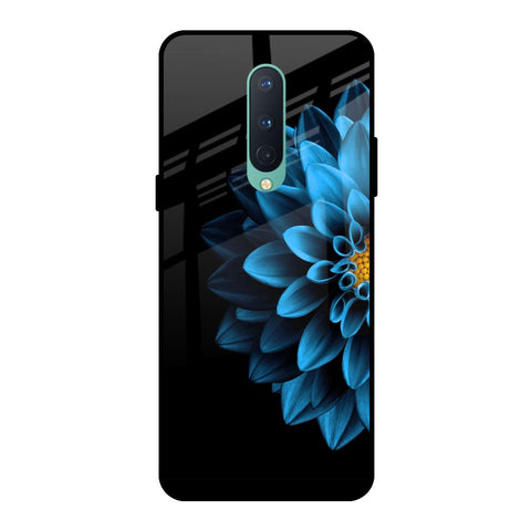 Half Blue Flower OnePlus 8 Glass Back Cover Online