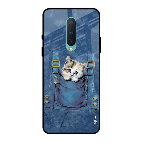 Kitty In Pocket OnePlus 8 Glass Back Cover Online