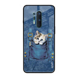 Kitty In Pocket OnePlus 8 Pro Glass Back Cover Online