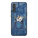 Kitty In Pocket OnePlus Nord Glass Back Cover Online