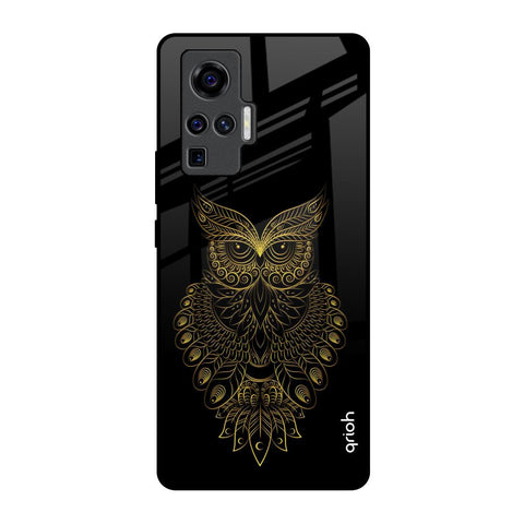 Golden Owl Vivo X50 Pro Glass Back Cover Online