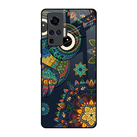 Owl Art Vivo X50 Pro Glass Back Cover Online