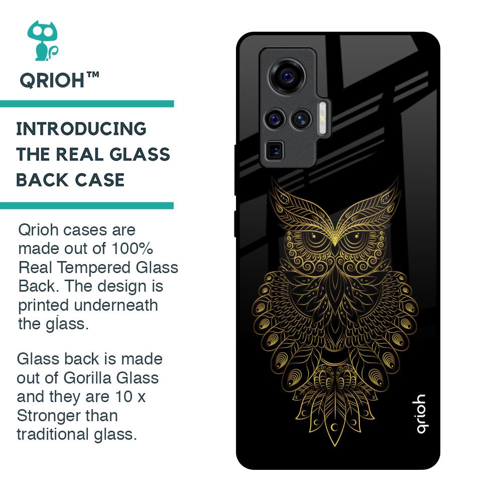 Golden Owl Glass Case for Vivo X50 Pro