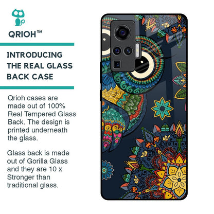 Owl Art Glass Case for Vivo X50 Pro