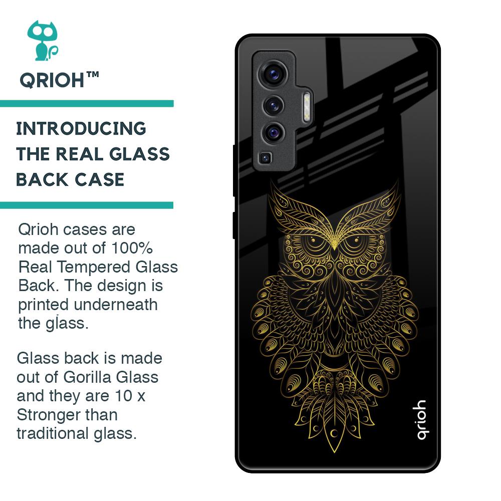 Golden Owl Glass Case for Vivo X50