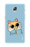 Attitude Cat OnePlus 3 Back Cover